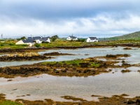 Carra Island, Oileán na Cara, Co. Galway